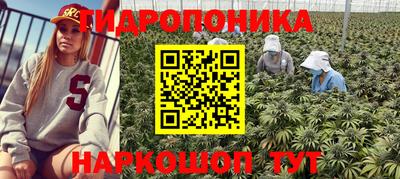 ПСИЛОЦИБИНОВЫЕ ГРИБЫ Заводоуковск