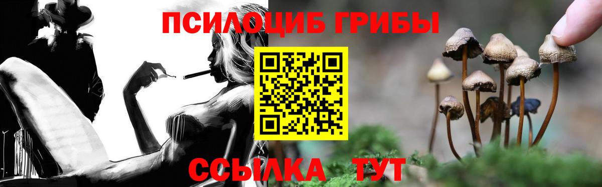 Галлюциногенные грибы GOLDEN TEACHER Котлас